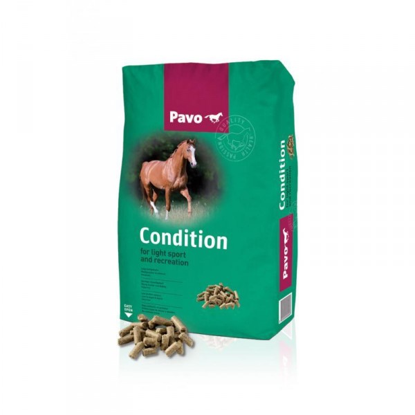4pavocondition_2