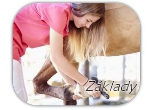 zklady