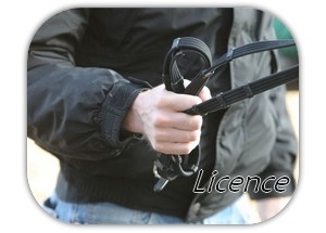 licence