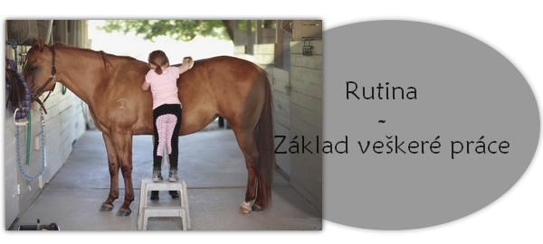 rutina zklad