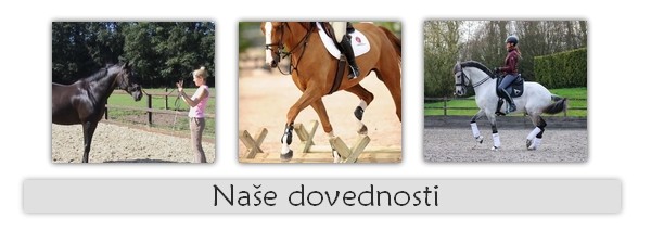 dovednosti