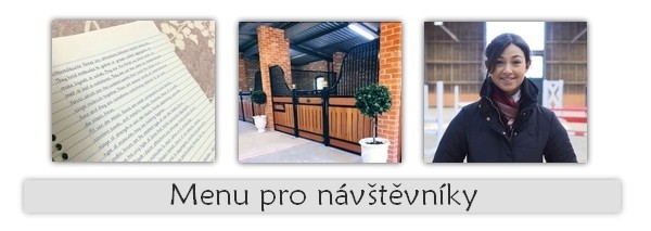 menu nvtvnj
