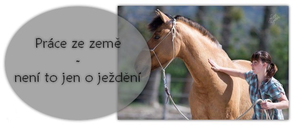 prce ze zem