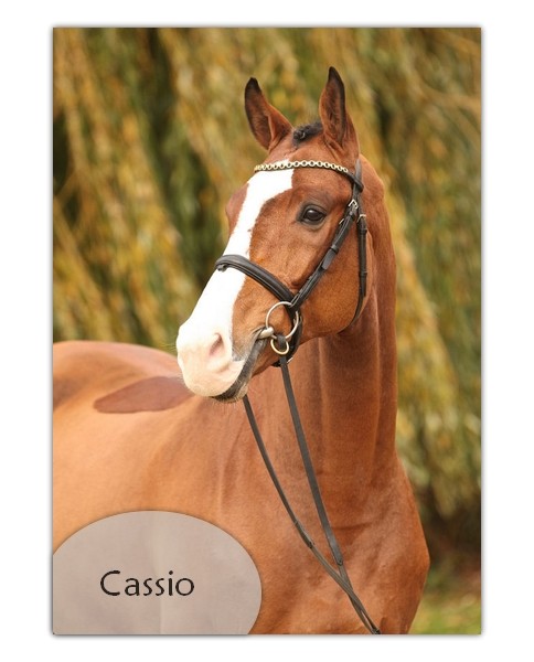 cassio