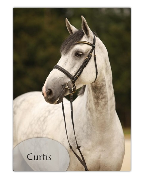 curtis
