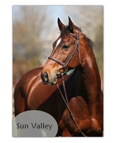 sun valley