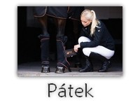 ptek