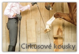 ck