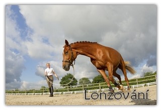 lonž