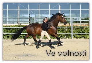 volnost