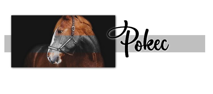 pokec