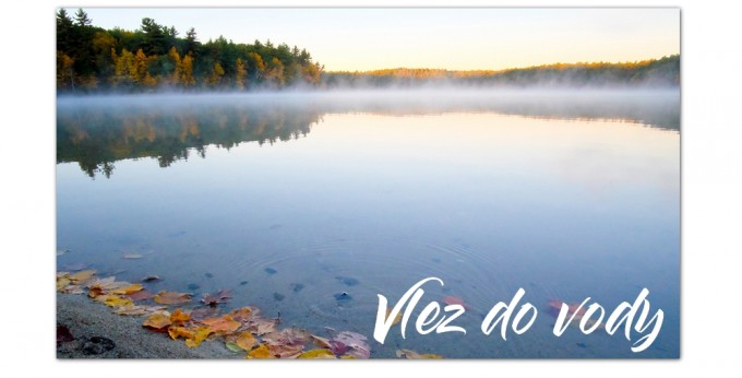 vlezdovody