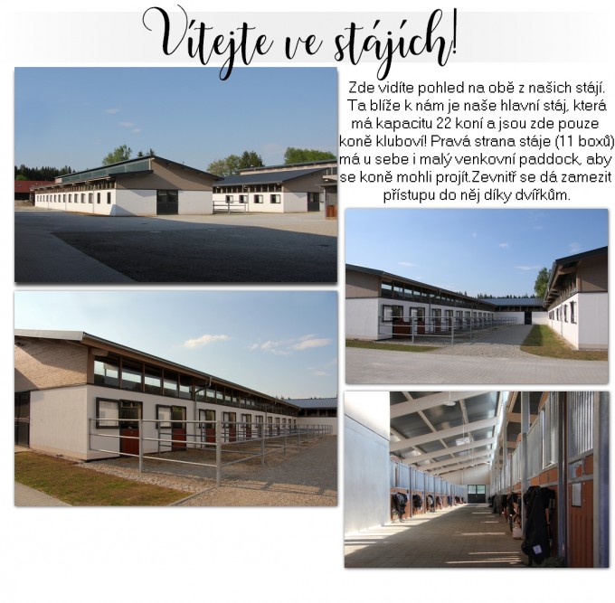 vtejtevestjch