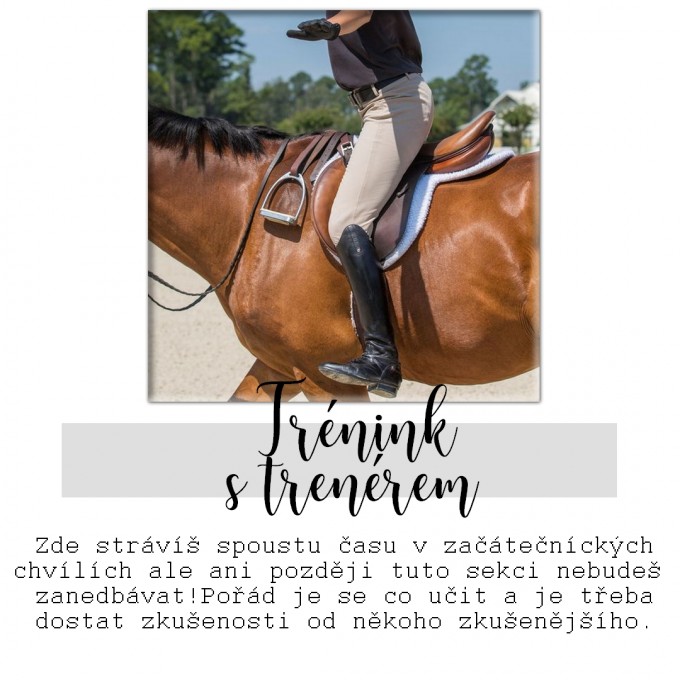 trninkstrenrem