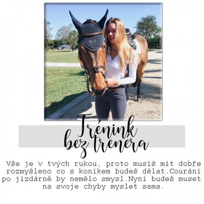 tréninkbeztrenéra