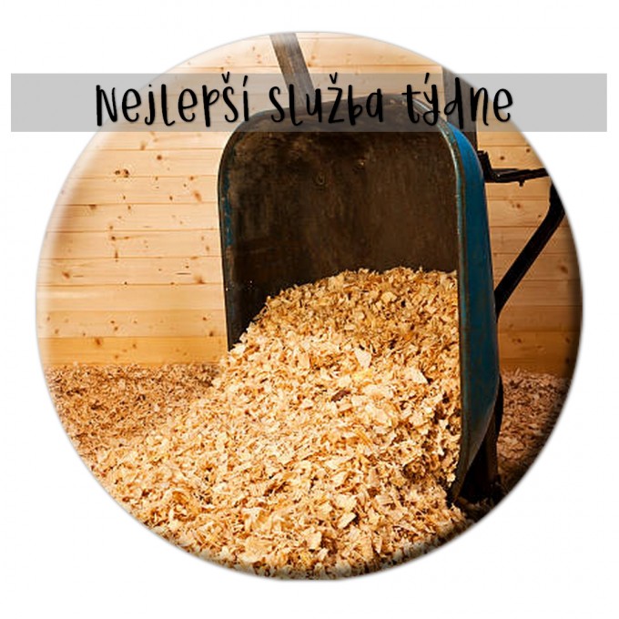 nejsluba