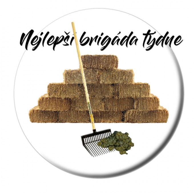 nejbrigda