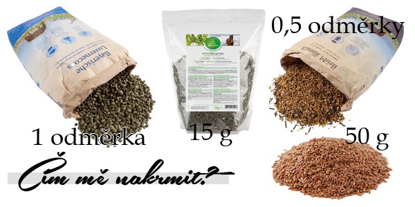 jasmnakrmivo