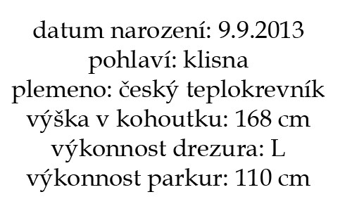 princeznainfo