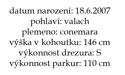 jimmyinfo