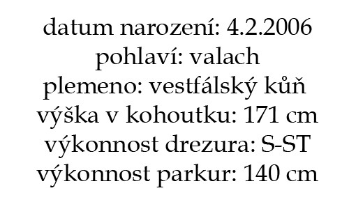 cassioinfo