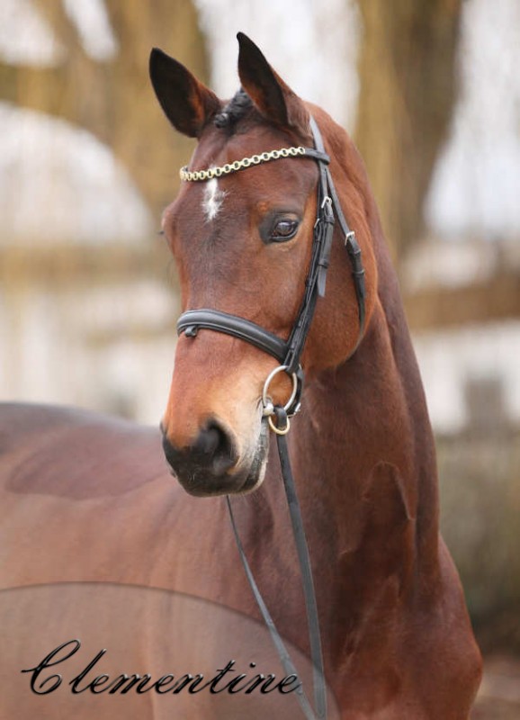 clementinehl1