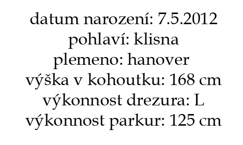 sunshineinfo